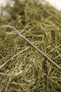 91129575 Finding a needle in a haystack