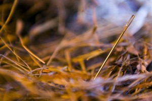 to look for a needle in a haystack